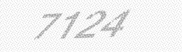 Visual security code — type the characters shown in the image